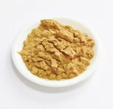 Сухой экстракт спорыша (трава) (лат. Herba Polygoni Avicularis)
